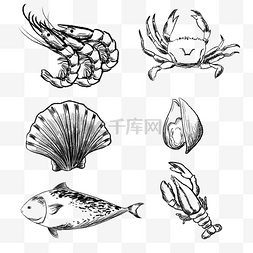 海鲜图片_线描食物素描食物海鲜