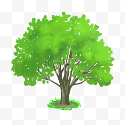 卡通绿色大树插画图片_绿色的大树装饰插画