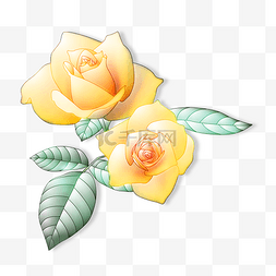一对黄色的玫瑰