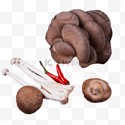 香菇金针菇小米椒平菇