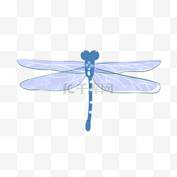 蓝色昆虫蜻蜓