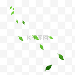 漂浮素材叶子图片_绿色叶子漂浮