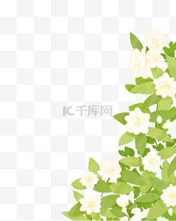 手绘植物ai图片_茉莉花手绘