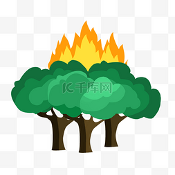 森林植物火灾