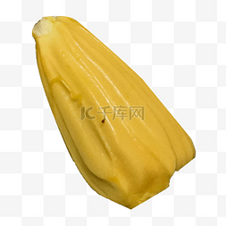 黄色的菠萝蜜素材图片_一个新鲜美味的菠萝蜜