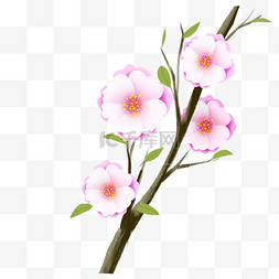 卡通粉色樱花树枝插画