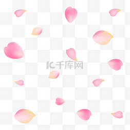 粉色花瓣花瓣图片_花朵植物花瓣