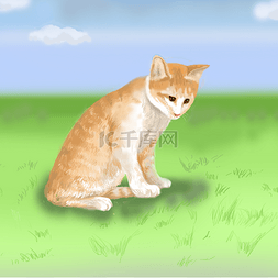 黄小猫图片_仿真动物小黄猫写实风格插画手绘