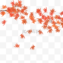 秋天树叶落叶图片_秋天枫叶