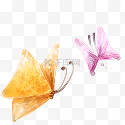 彩色的蝴蝶昆虫卡通