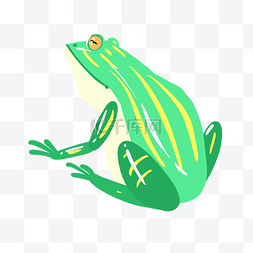 绿色青蛙插画