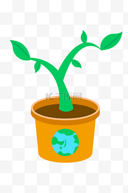 植物图片_绿色植物盆栽