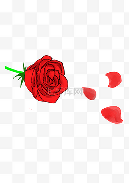 一朵鲜红色的玫瑰花和花瓣
