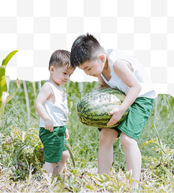 摘水果儿童图片_摘西瓜的男孩