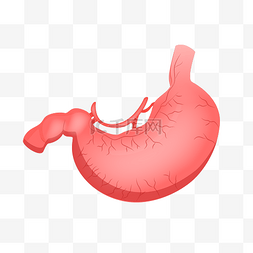 肠胃图片_红色的肠胃