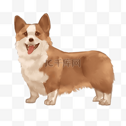 腻图片_中华田园犬狗狗插画