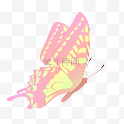 黄色卡通小翅膀图片_漂亮的粉色蝴蝶插画