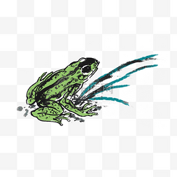 夏天青蛙蝌蚪手绘插画