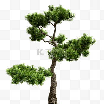 高山青松图片-高山青松图片素材免费下载-千库网 