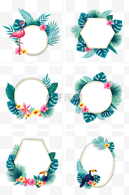 粉色叶子边框图片_夏季热带植物和鸟类边框组图