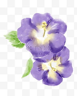 鲜花装饰插画图片_紫色的鲜花装饰插画