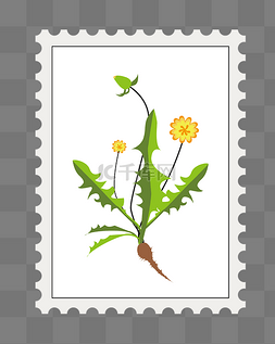 小花装饰图片_植物邮票装饰
