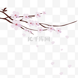 樱花飘落的图片_飘落的粉色日本樱花
