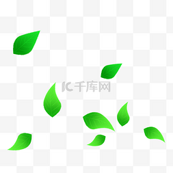 漂浮色叶子图片_绿色叶子漂浮淡绿色叶子