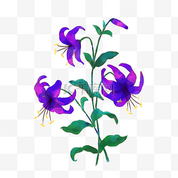 水彩紫色花草