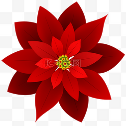 一品红圣诞装饰花朵
