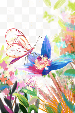 绚丽多彩春天蝴蝶