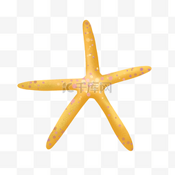 卡通海底生物图片_一个黄色的海星