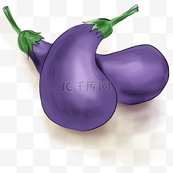 美食食材紫茄子