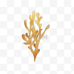 小清新海底黄色珊瑚