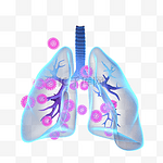 冠状病毒肺部感染3d元素