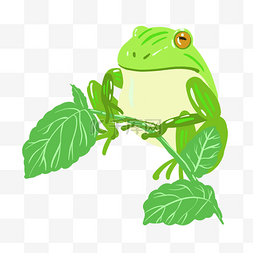 青蛙和叶子插画