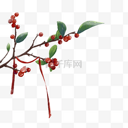 水彩古风积雪的红果子的树枝