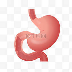 胃插图图片_卡通器官胃矢量图