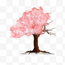 一颗粉色桃树下载