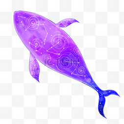 紫色星座鲸鱼