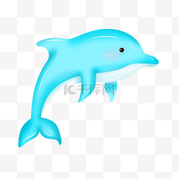 海豚动物活跃