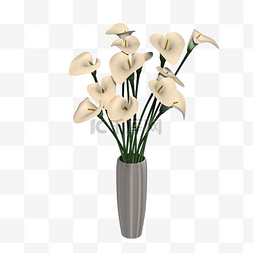 一个马蹄莲的花瓶
