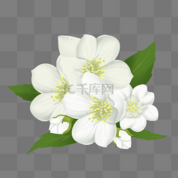 白色茉莉花层叠元素