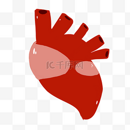 心脏修复图片_卡通红色鲜活心脏图