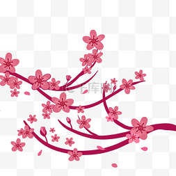 樱花花朵卡通插画