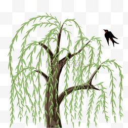 黑色燕子图片_春燕在春风摇曳着的柳枝中飞舞