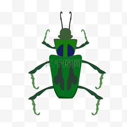 绿色昆虫动物