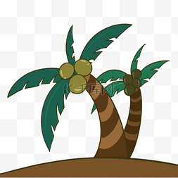 夏天热带椰子树