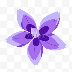 紫色花朵插画