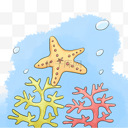 潜水的海星